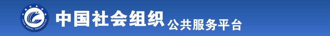 腿抬高艹全国社会组织信息查询